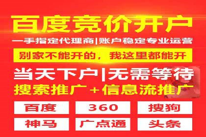 百度推广在电商领域的应用：成功提升销售额的秘诀